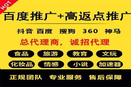 某品牌SEM广告投放的ROI提升案例